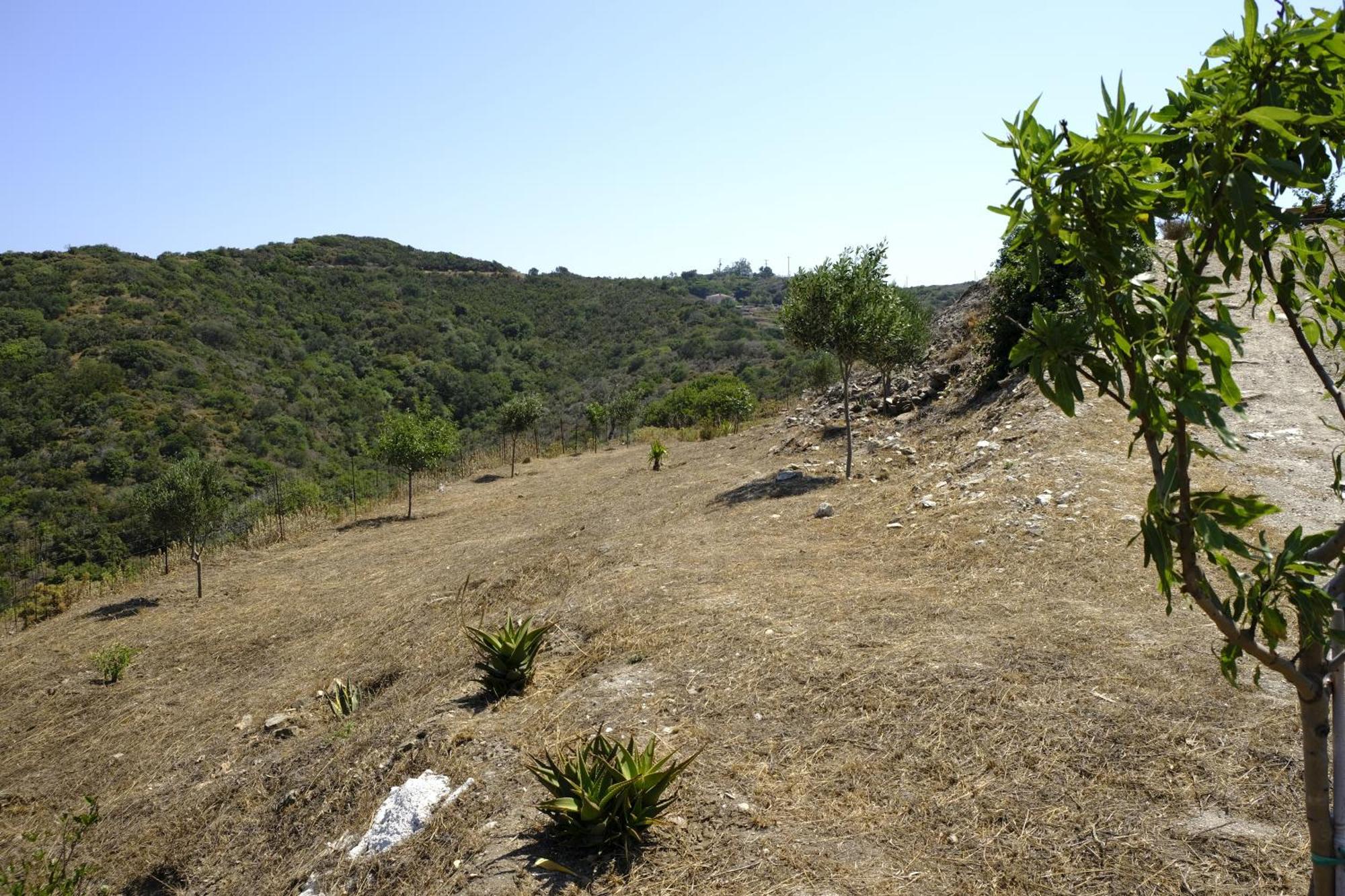 Hill'S Barbacane Potamos  Екстер'єр фото